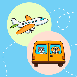 Hybrid trips UK - Spain